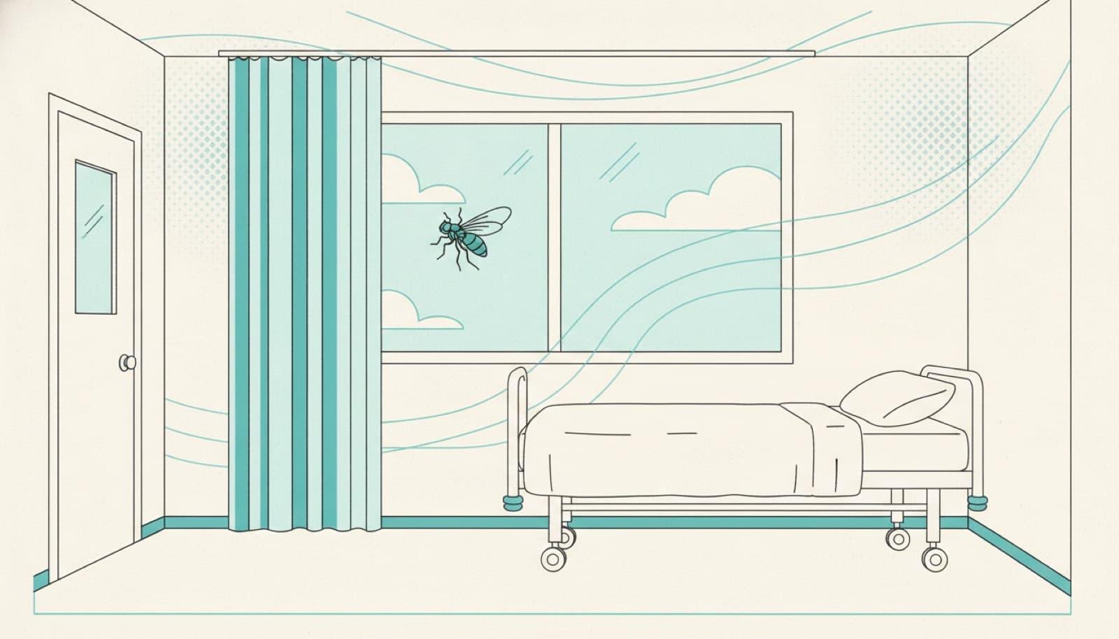 Les insectes à l’hôpital : une routine de traitement des surfaces aux côtés de l’hygiène